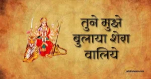 tune mujhe bulaya sherawaliye lyrics